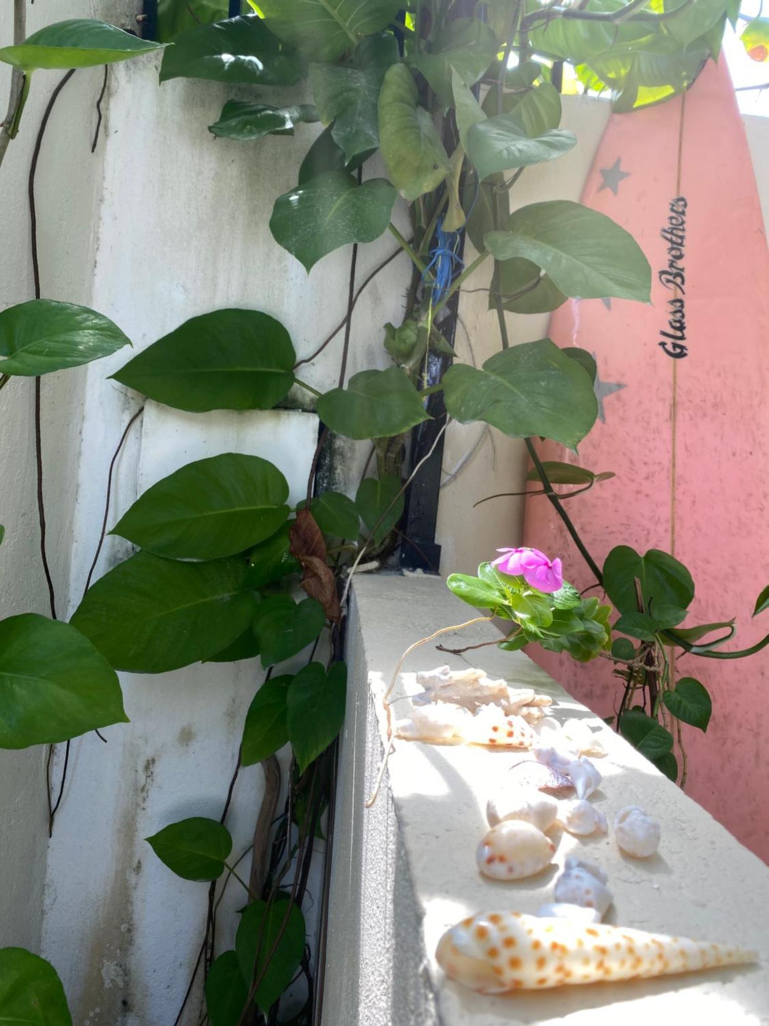 Maavaharu Guest House Himmafushi Zewnętrze zdjęcie